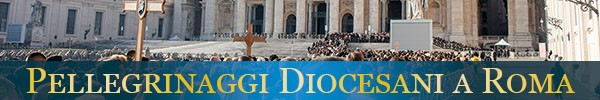Pellegrinaggi Diocesani a Roma 1